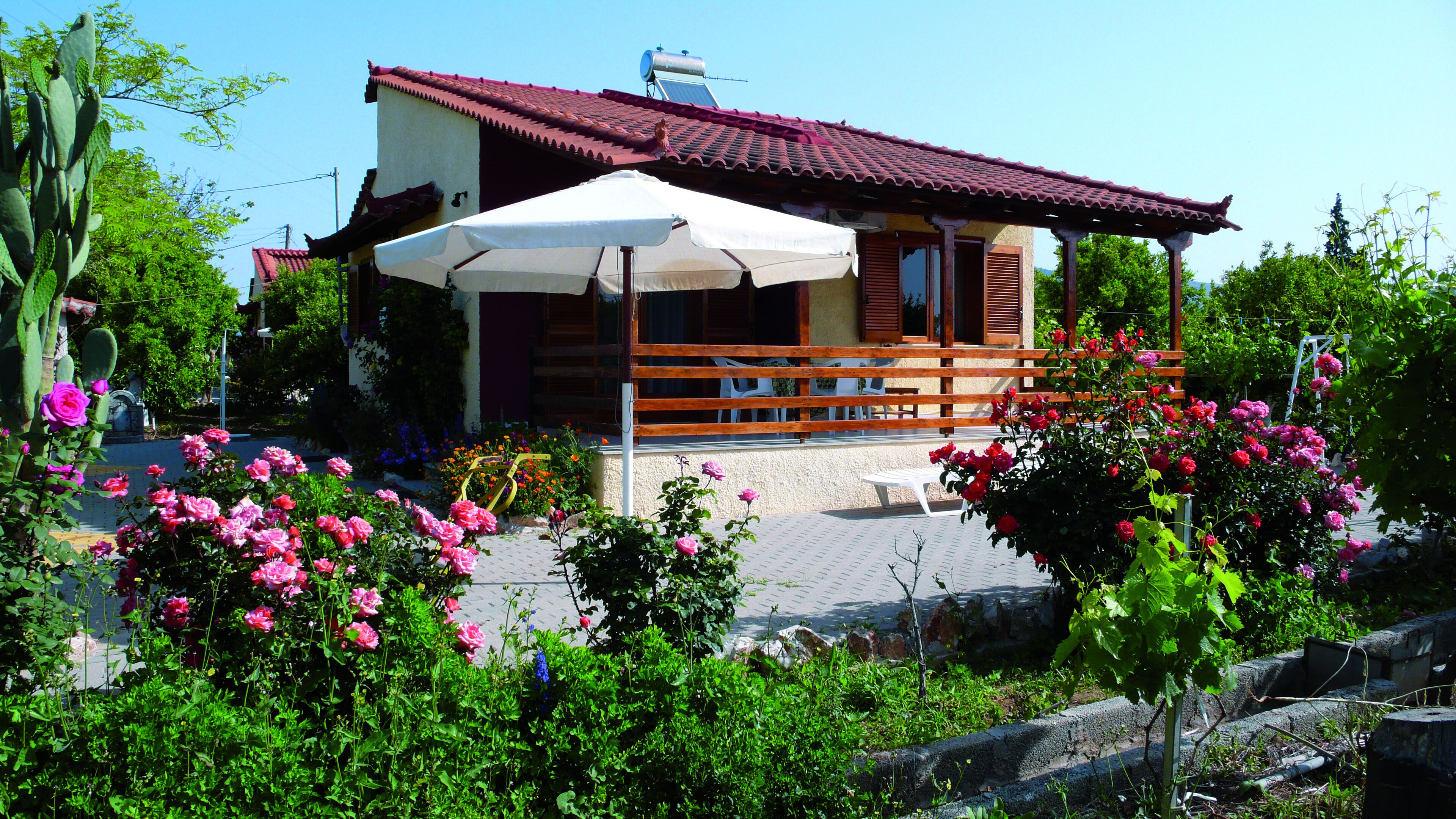 Jocasta Resort Activity Guide Jocasta Resort Activity Guide